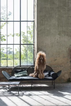 Serax Fontainebleau By José Lévy Tuinbank -Serax x886x886 serax fontainebleau loungebank donkergroen13.jpg.pagespeed.ic .AyUOtHa gb