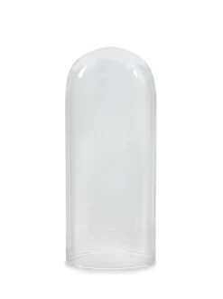 Serax Glass Domes By Serax Woondecoratie -Serax x886x886 serax socleolpd stolp woondecoratie2.jpg.pagespeed.ic .SBN20Y5oUo